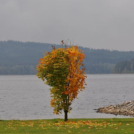 Studio Apartments Lipno 22, 24 Lipno nad Vltavou Rom bilde