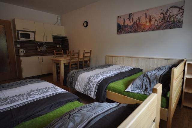 Studio Apartments Lipno 22, 24 Lipno nad Vltavou Rom bilde
